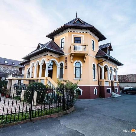 Pensiunea Onix Făgăraş Eksteriør bilde
