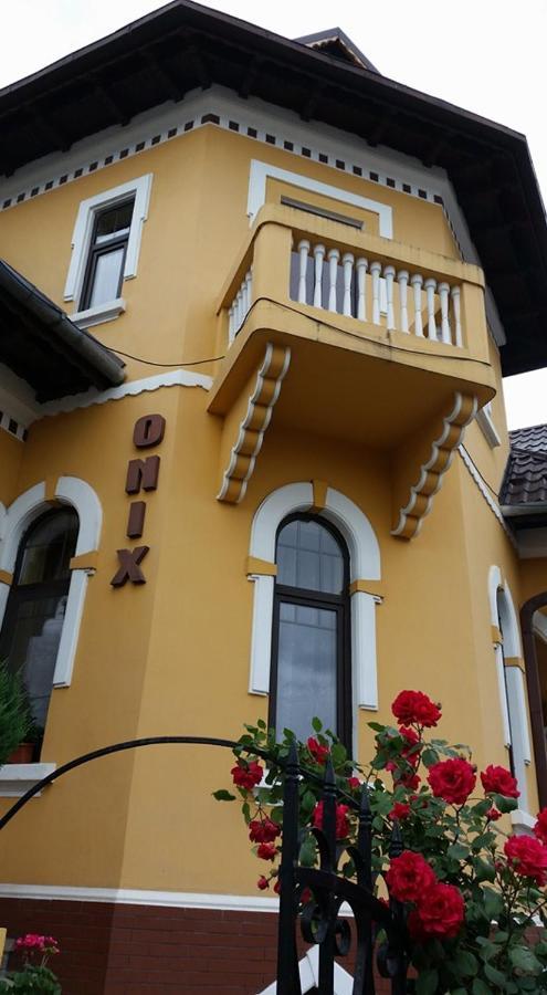 Pensiunea Onix Făgăraş Eksteriør bilde
