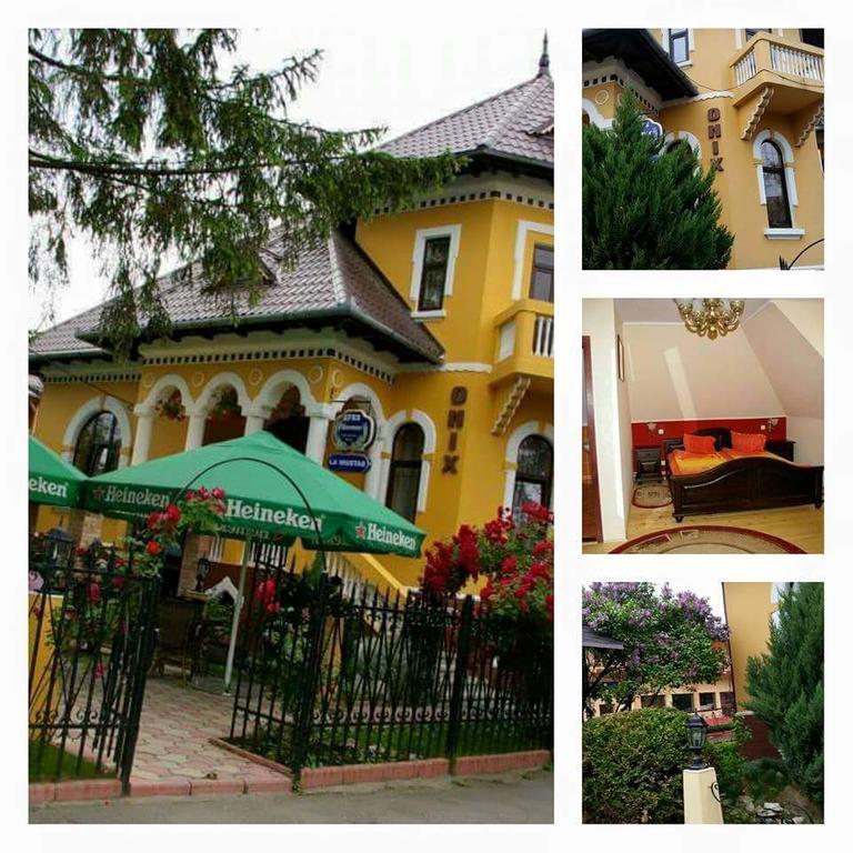 Pensiunea Onix Făgăraş Eksteriør bilde