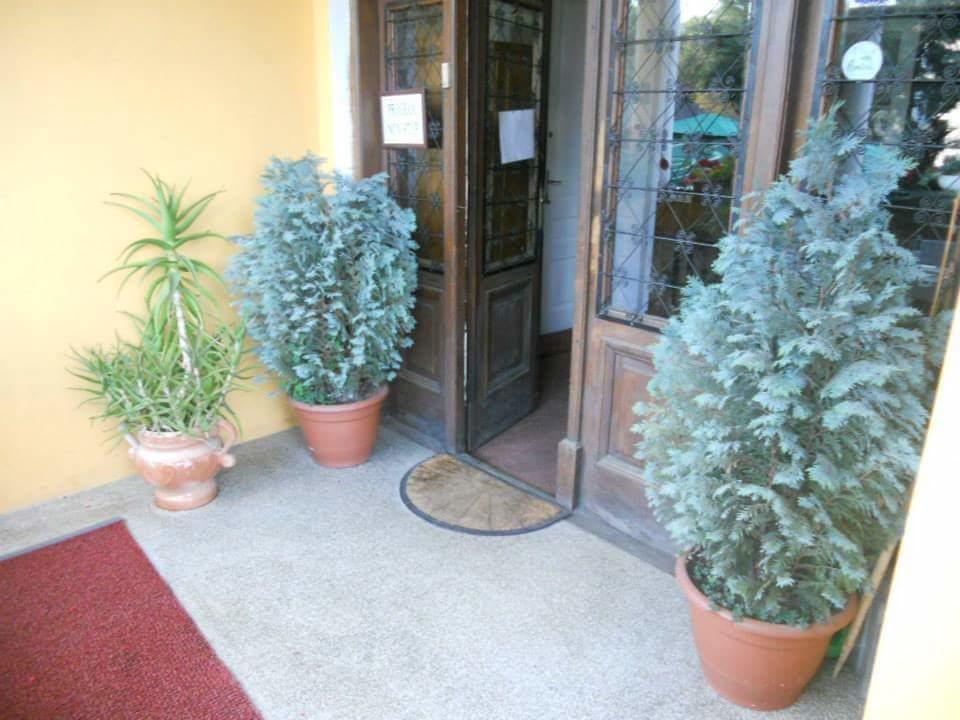 Pensiunea Onix Făgăraş Eksteriør bilde