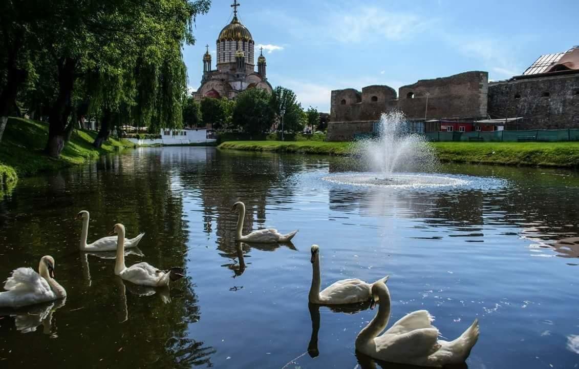 Pensiunea Onix Făgăraş Eksteriør bilde