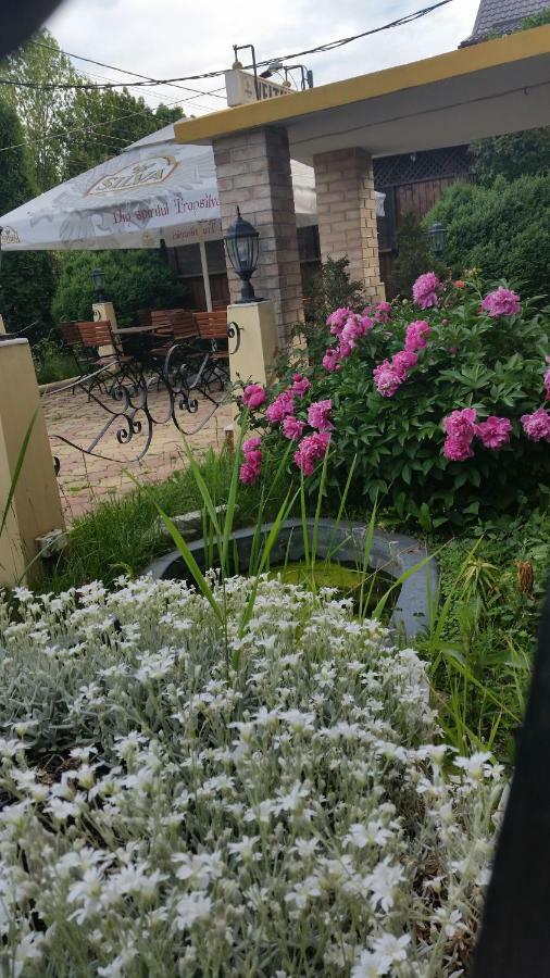 Pensiunea Onix Făgăraş Eksteriør bilde