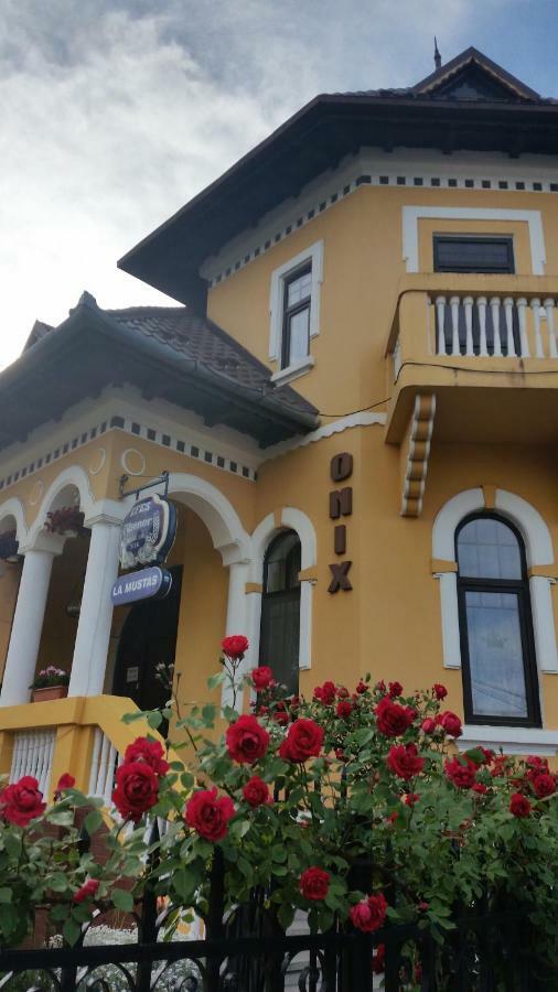 Pensiunea Onix Făgăraş Eksteriør bilde