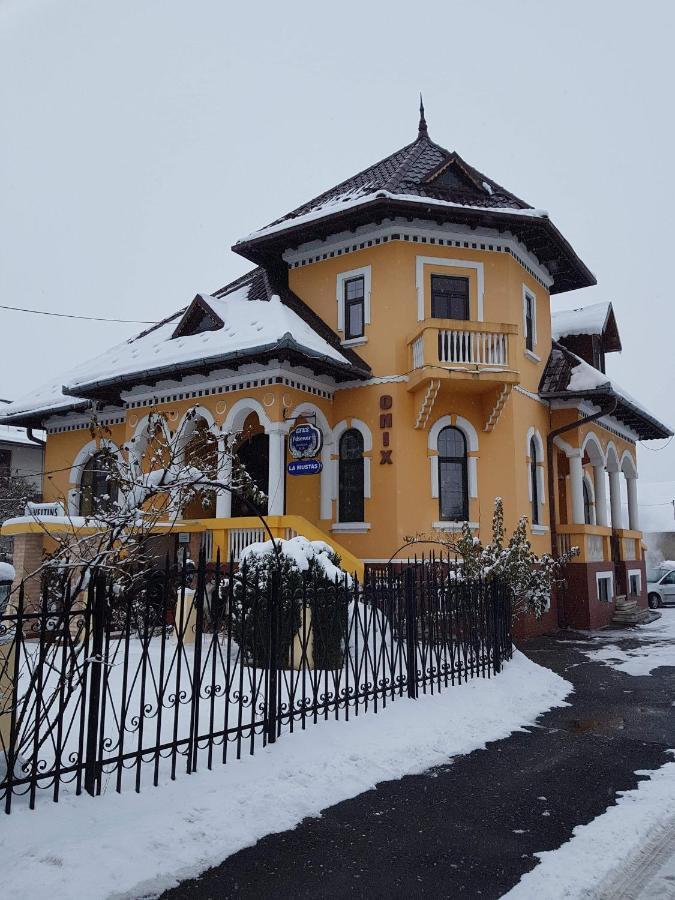 Pensiunea Onix Făgăraş Eksteriør bilde